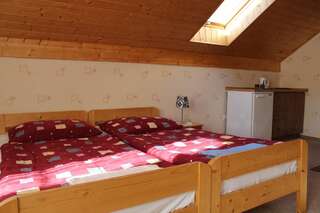 Отели типа «постель и завтрак» Nasz Domek Карпач Двухместный номер с 1 кроватью и балконом-4